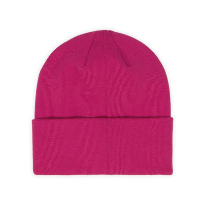 Powell Core Logo Beanie - US 1016